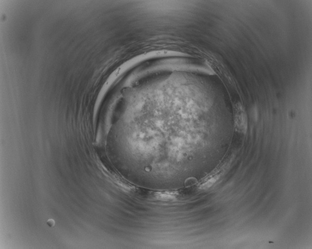 X0000068900573200605081348