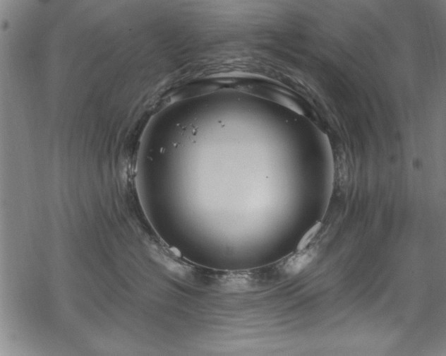 X0000068900574200605081348