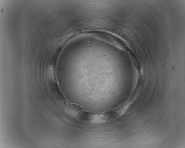 X0000068900575200605081348