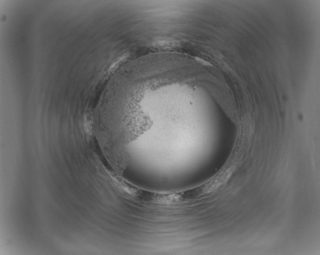 X0000068900576200605081348