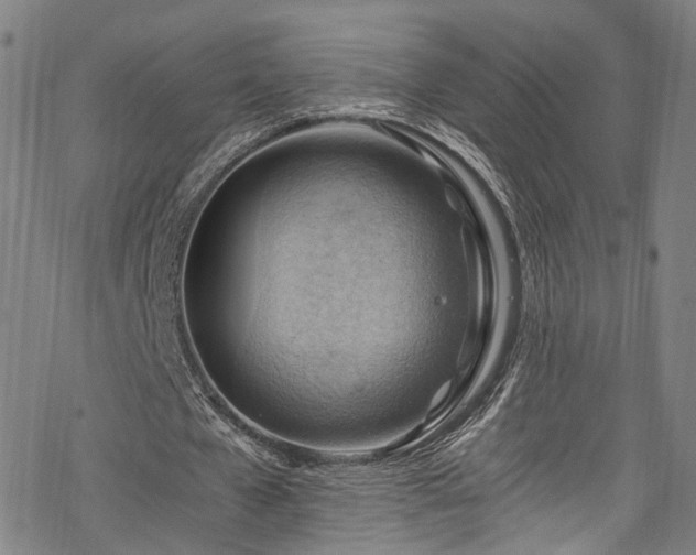 X0000068900577200605081348