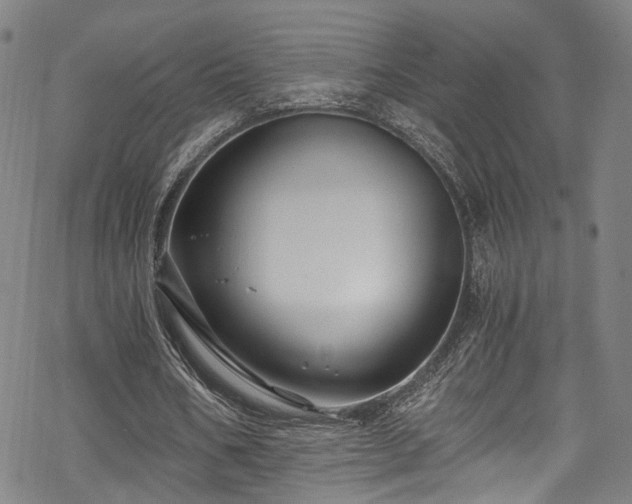 X0000068900578200605081348