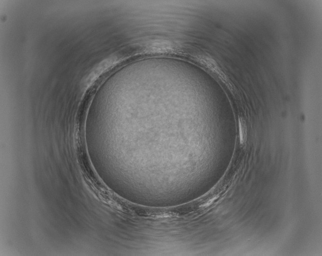 X0000068900579200605081348