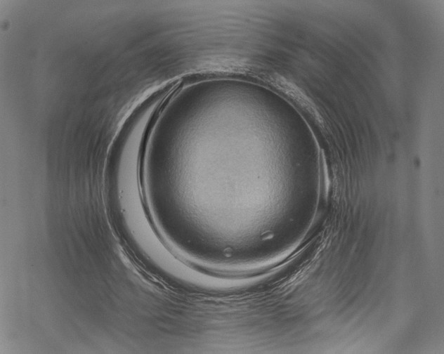 X0000068900580200605081348