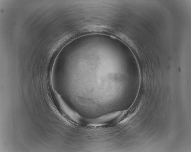 X0000068900581200605081347