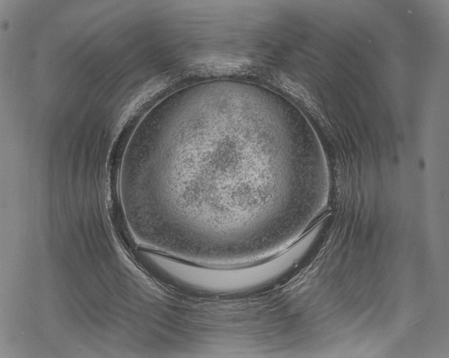 X0000068900582200605081347