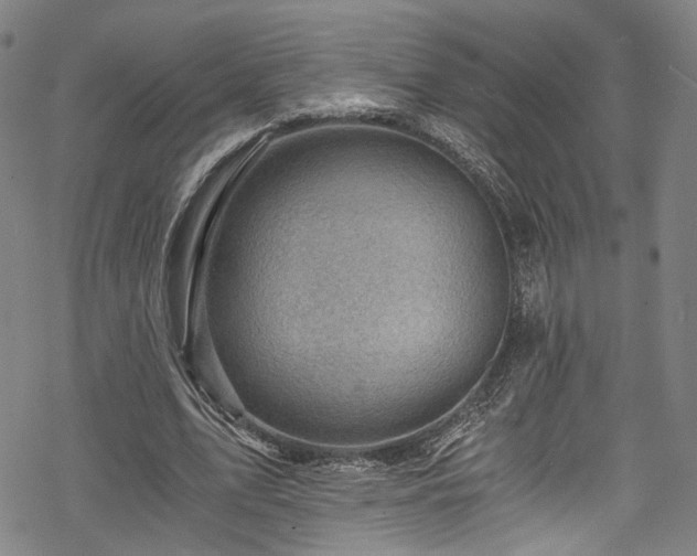 X0000068900583200605081347