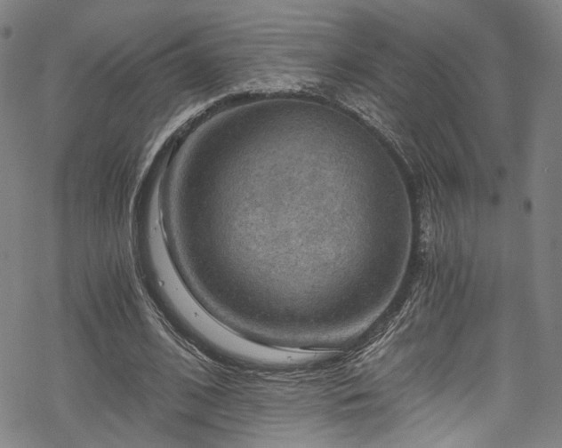 X0000068900584200605081347