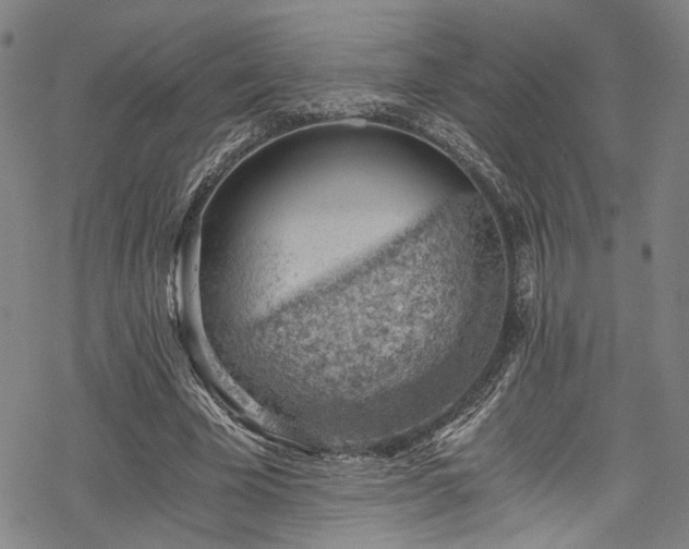 X0000068900585200605081347