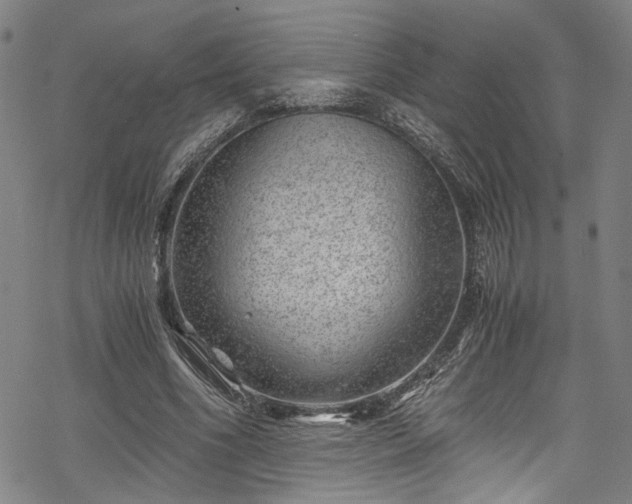 X0000068900586200605081347