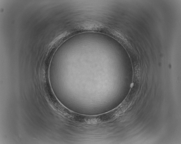 X0000068900587200605081347