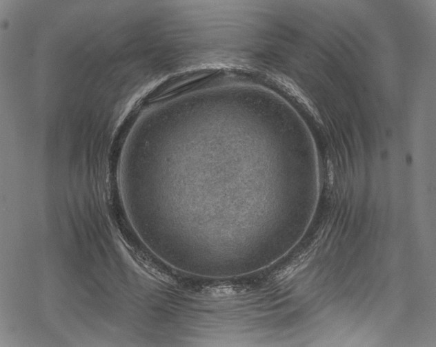 X0000068900588200605081347