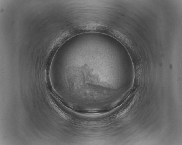 X0000068900589200605081347