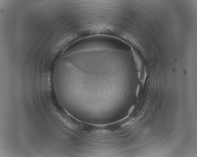 X0000068900590200605081347