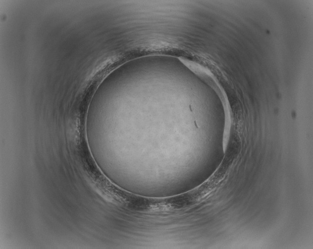 X0000068900591200605081347