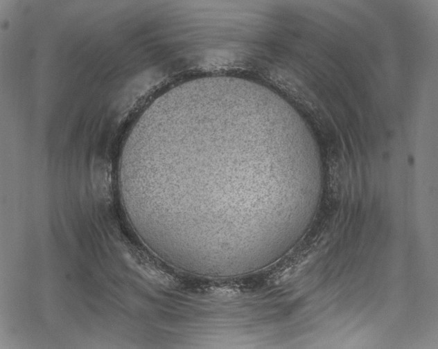 X0000068900592200605081347