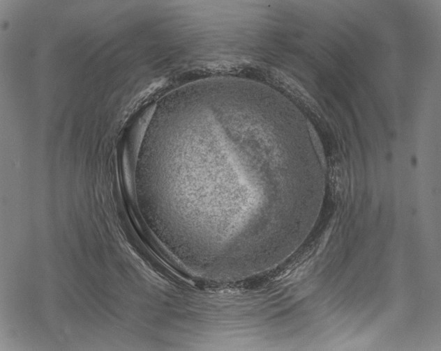 X0000068900593200605081347