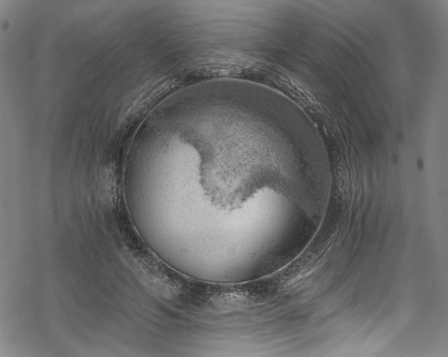 X0000068900594200605081347