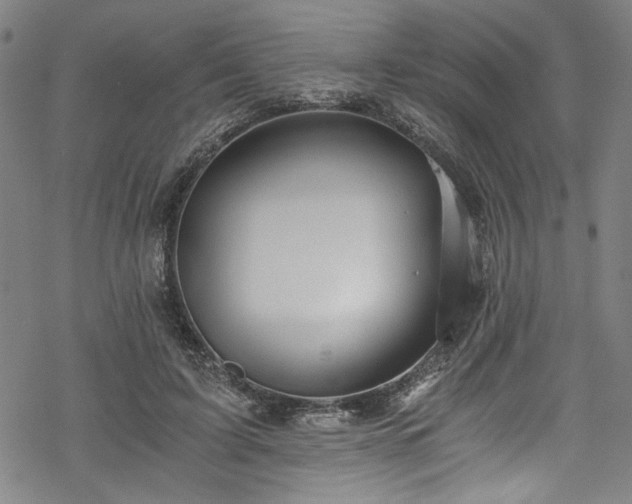 X0000068900595200605081347