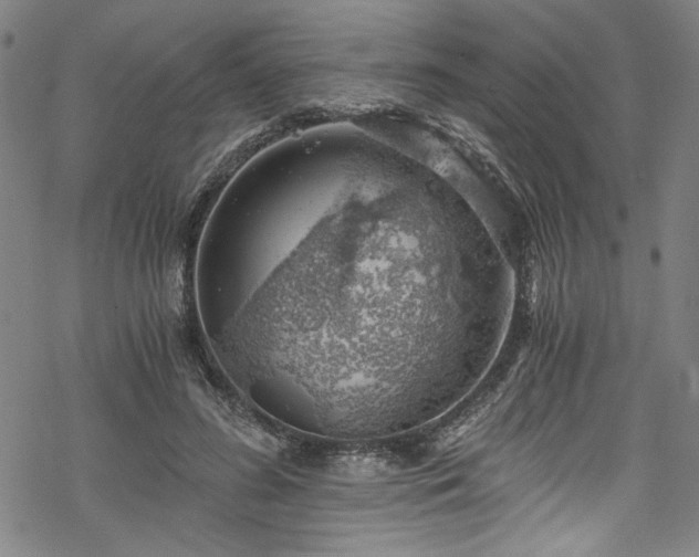 X0000068900596200605081347