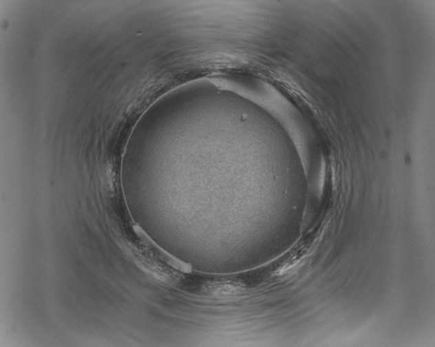 X0000068900597200605081347