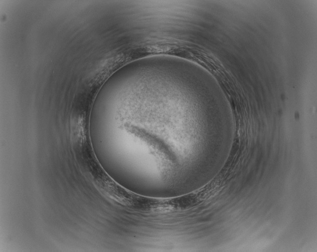 X0000068900598200605081347