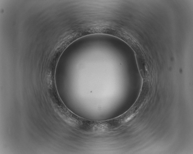 X0000068900599200605081347