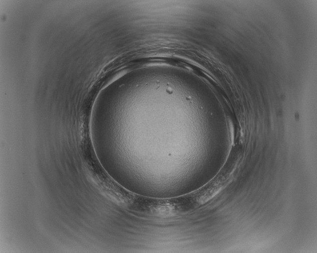 X0000068900600200605081347