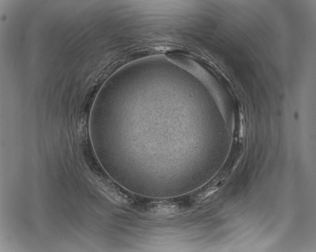 X0000068900601200605081347