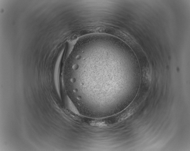 X0000068900602200605081347