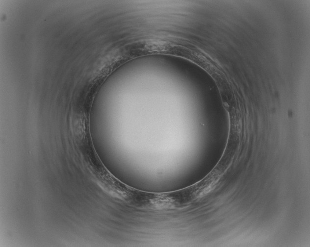 X0000068900603200605081347