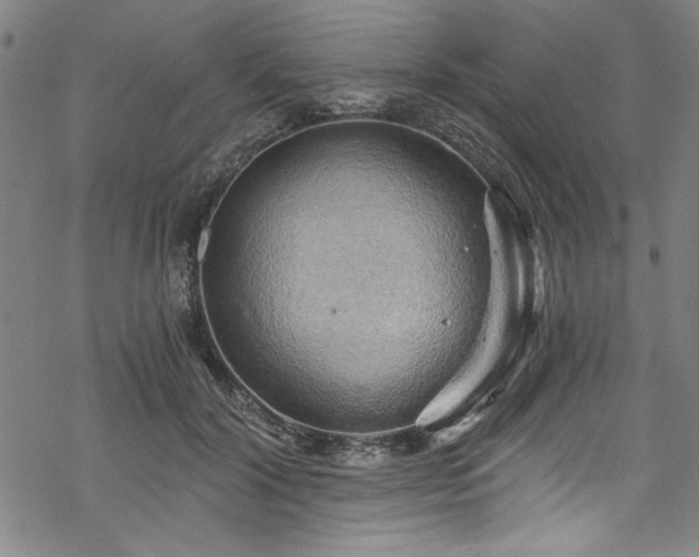 X0000068900604200605081347