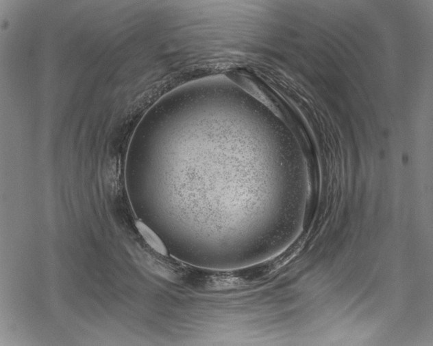 X0000068900605200605081347