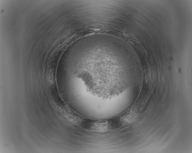 X0000068900606200605081347