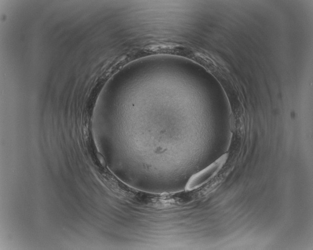 X0000068900607200605081347