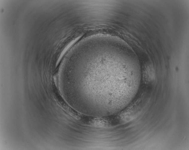 X0000068900608200605081347