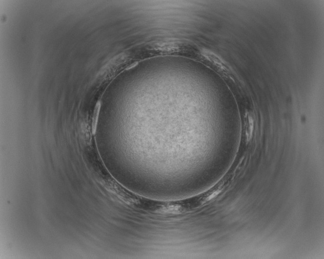 X0000068900609200605081347