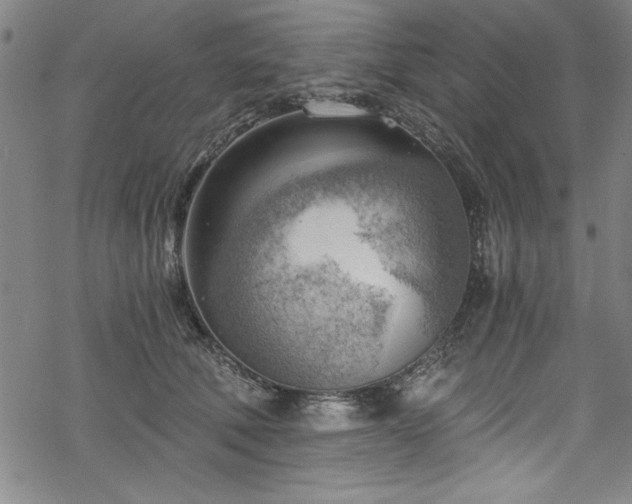 X0000068900610200605081347