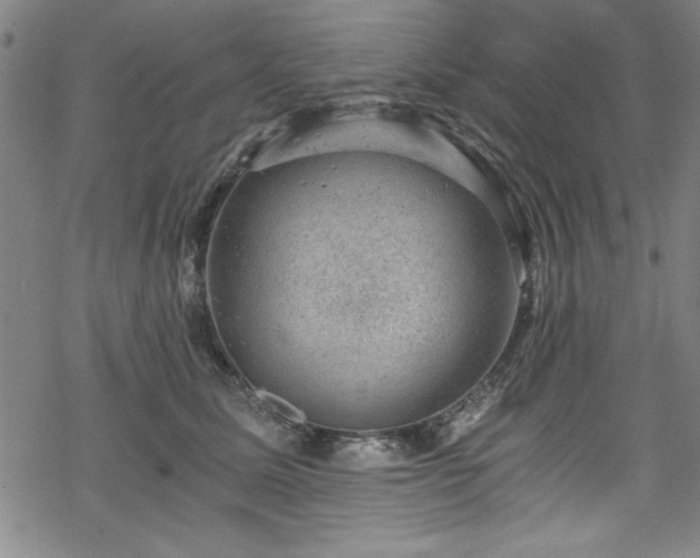 X0000068900611200605081347