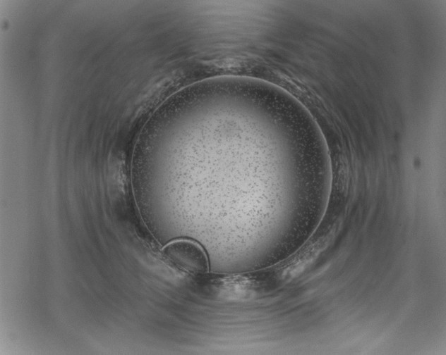 X0000068900612200605081347