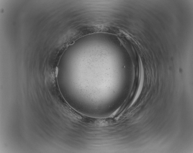 X0000068900613200605081347