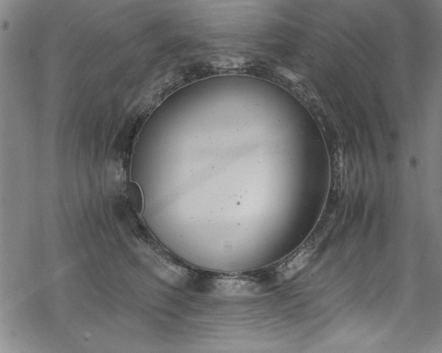 X0000068900614200605081347