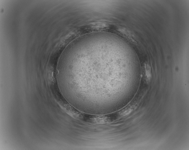 X0000068900615200605081347