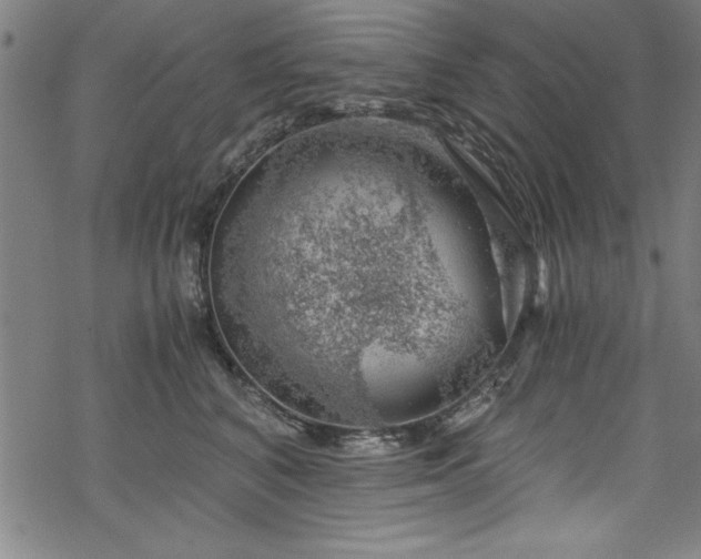 X0000068900616200605081347