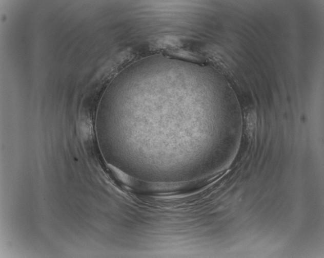 X0000068900617200605081347