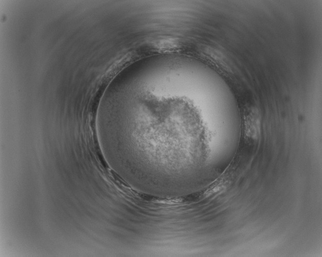 X0000068900618200605081347