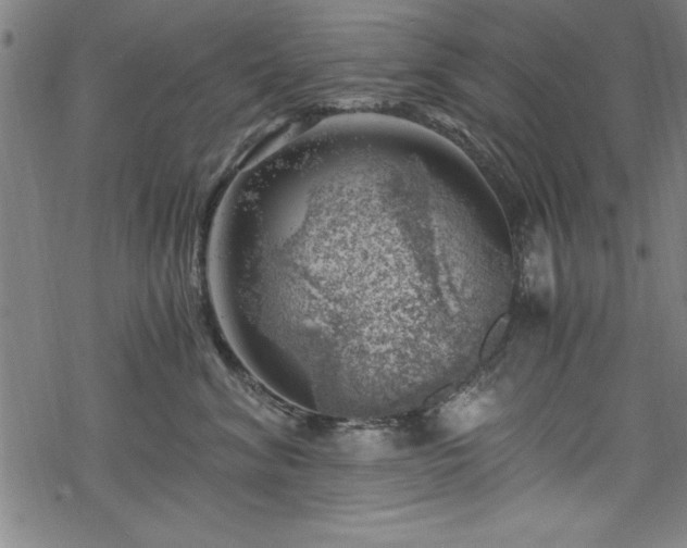 X0000068900620200605081347