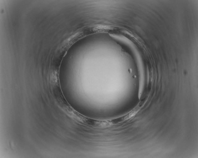 X0000068900621200605081347