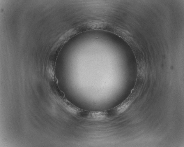 X0000068900622200605081347