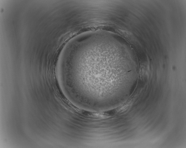 X0000068900623200605081347